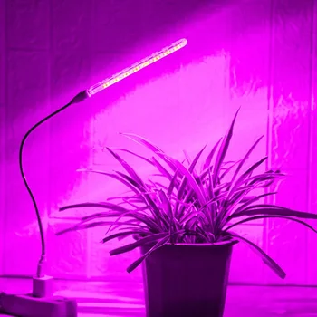 USB 5V LED Grow Light Лампа для Выращивания Растений Полного Спектра с Гибким Шлангом Для Внутренней Теплицы Фито-Лампа Для Рассады Цветов Гидропонный Свет