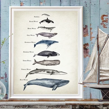 Таблица сравнения размеров китов, акварельные принты китов, развивающие плакаты для детей, настенные рисунки в детской, украшение детской комнаты